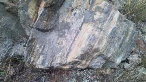 Гигантские зелёные валуны для ландшафтного дизайна весом более 5 тонн купить в Тюмени